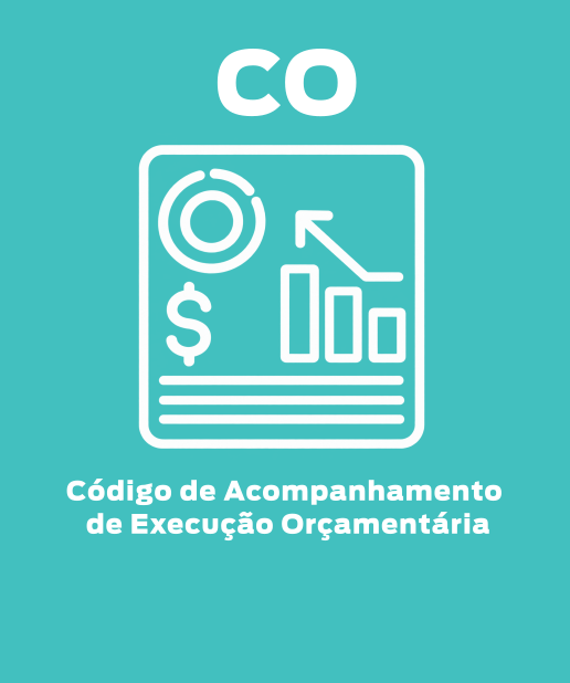 V encontro Rede de Orçamento do Estado do Rio de Janeiro